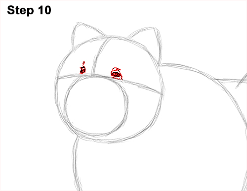 How to Draw Cute Chow Chow Puppy Dog 10