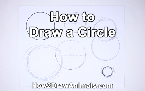How to Draw a Circle Easy Simple Beginner Basic Art Fundamental