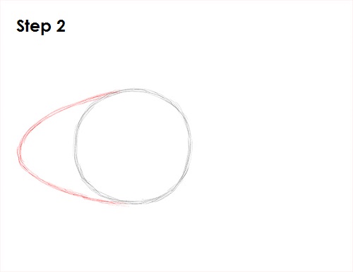 Draw Clownfish 2