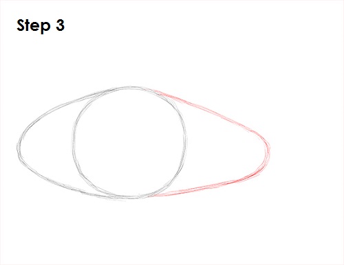 Draw Clownfish 3