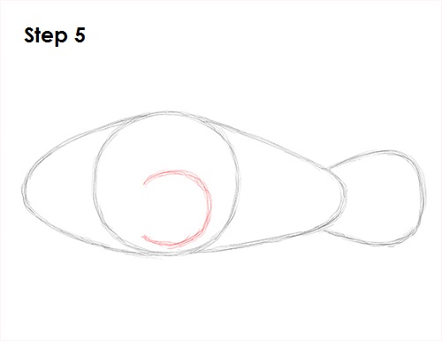 Draw Clownfish 5