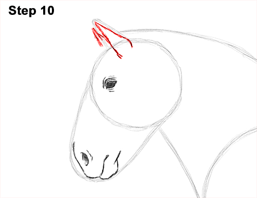 Draw Horse Clydesdale Shire 10