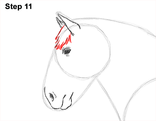 Draw Horse Clydesdale Shire 11