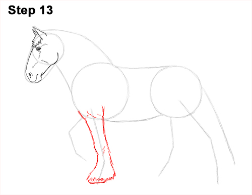 Draw Horse Clydesdale Shire 13