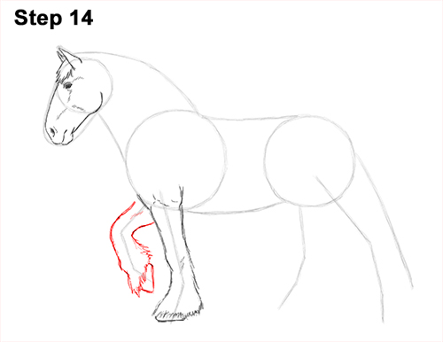 Draw Horse Clydesdale Shire 14