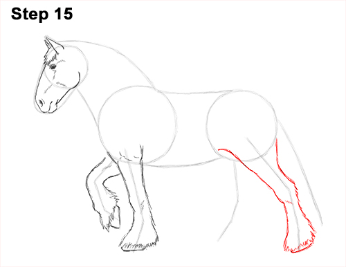 Draw Horse Clydesdale Shire 15