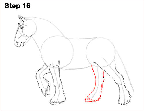 Draw Horse Clydesdale Shire 16