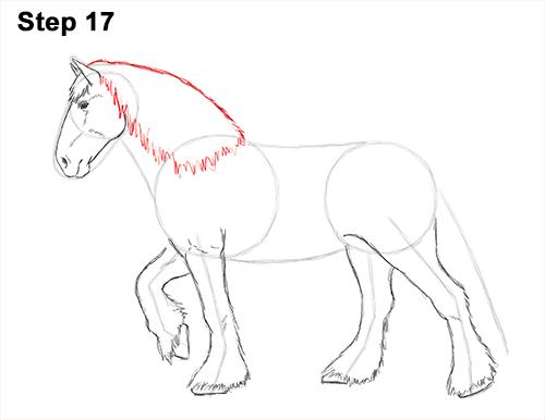Draw Horse Clydesdale Shire 17