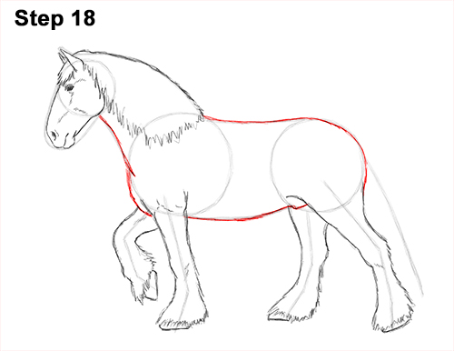 Draw Horse Clydesdale Shire 18