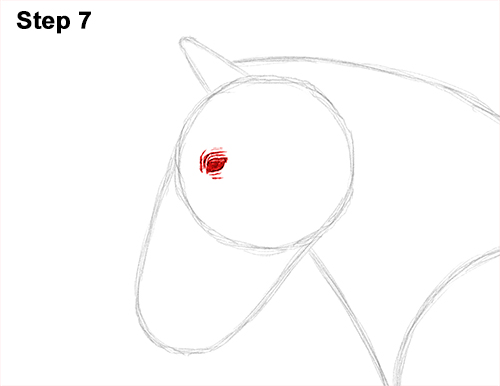 Horse Clydesdale Shire Drawing 7 Draw Horse Clydesdale Shire 7