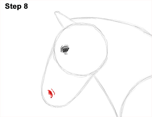 Horse Clydesdale Shire Drawing 8 Draw Horse Clydesdale Shire 8