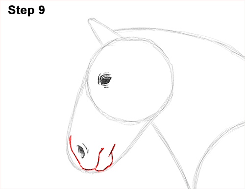 Horse Clydesdale Shire Drawing 9 Draw Horse Clydesdale Shire 9