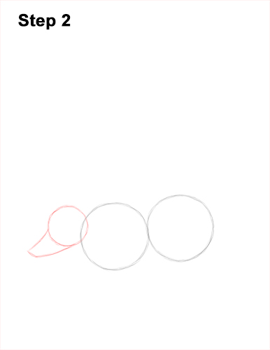 How to Draw a South American Ring-tailed Coati Coatimundi 2