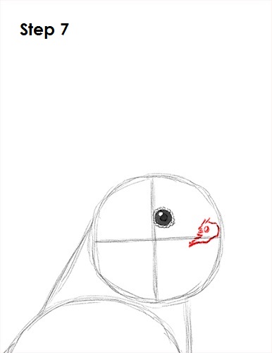 Draw a Cockatiel 7