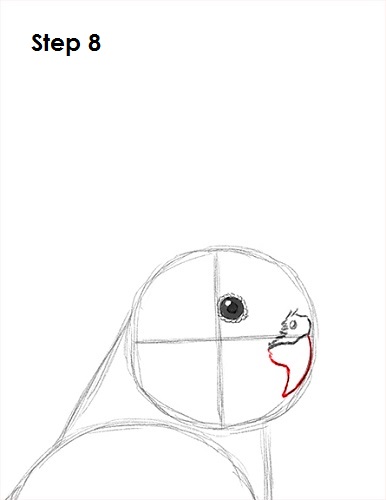 Draw a Cockatiel 8