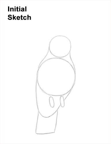 How to Draw a Sulphur Crested Cockatoo Bird Parrot Guide Lines
