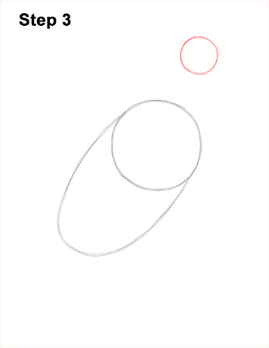 Draw an Andean Condor 3 How to Draw an Andean Condor Bird Side View 3
