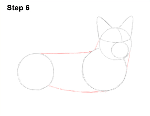 Welsh Corgi Dog Drawing 6 Draw Welsh Corgi Dog 6
