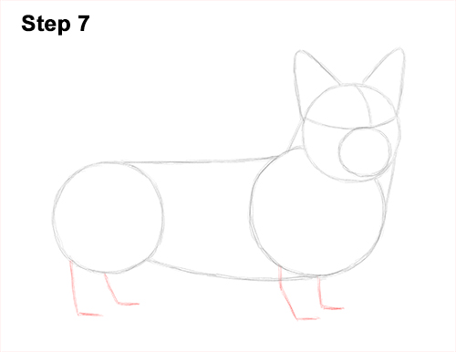 Welsh Corgi Dog Drawing 7 Draw Welsh Corgi Dog 7