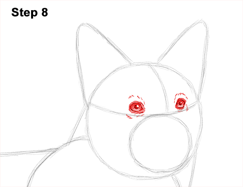 Welsh Corgi Dog Drawing 8 Draw Welsh Corgi Dog 8