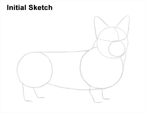 Welsh Corgi Dog Initial Sketch Draw Welsh Corgi Dog Initial Sketch