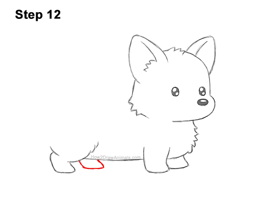 Draw a Cute Cartoon Welsh Corgi Puppy Dog 12 How to Draw Cute Cartoon Corgi Puppy Dog Chibi Kawaii 12