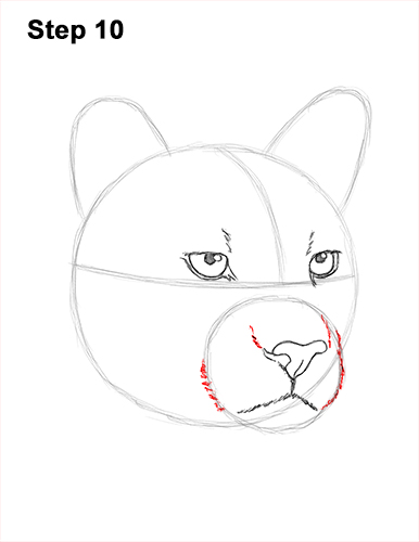 How to Draw a Cougar Mountain Lion Puma Panther Head 10
