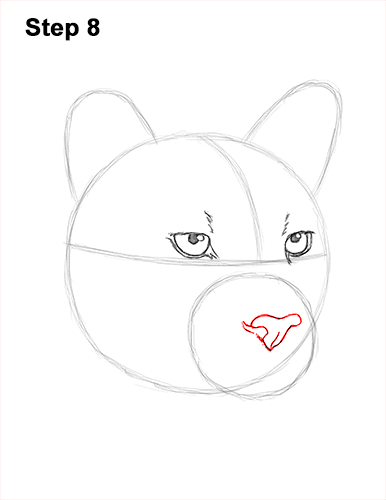 Draw a Cougar Head 8 How to Draw a Cougar Mountain Lion Puma Panther Head 8