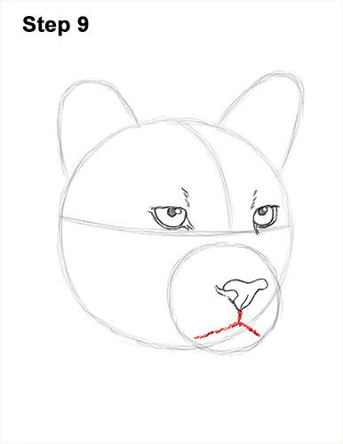 Draw a Cougar Head 9 How to Draw a Cougar Mountain Lion Puma Panther Head 9