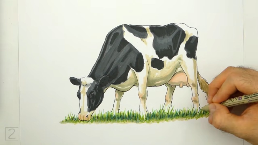 Draw Cow Finish Coloring and Add Grass How to Draw a Cow Finish Coloring and Add Grass