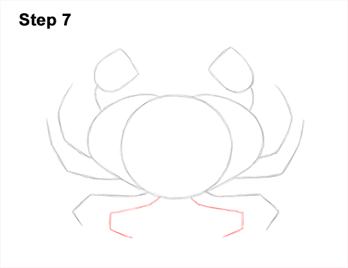 How to Draw a Brown Edible Red Crab 7