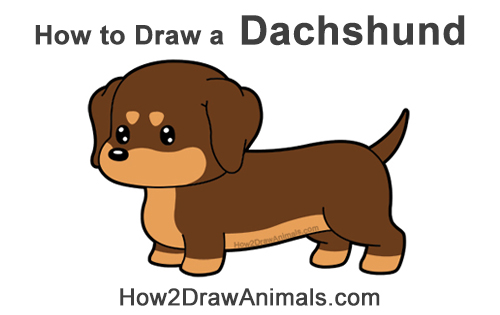 Draw a Cute Cartoon Dachshund Dog How to Draw a Cute Cartoon Dachshund Wiener Puppy Dog Chibi Kawaii