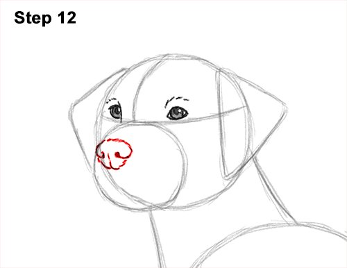 How to Draw Dalmatian Puppy 12