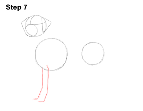 How to Draw Dalmatian Puppy 7