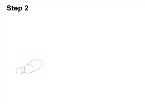 How to Draw a Tule Bluet Damselfly Side View 2