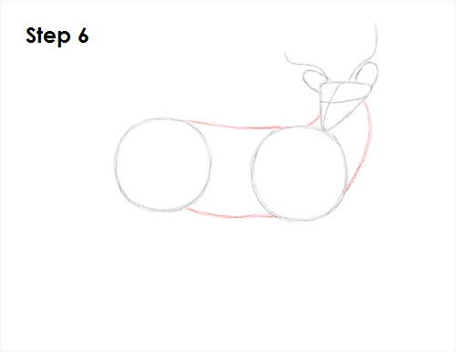 Draw White Tailed Deer Drawing 6 Draw White Tailed Deer 6