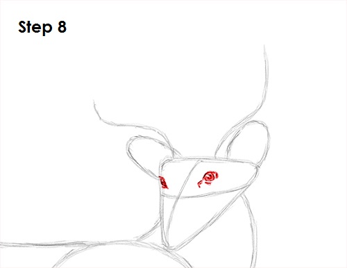 Draw White Tailed Deer Drawing 8 Draw White Tailed Deer 8