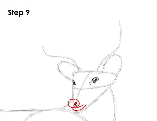 Draw White Tailed Deer Drawing 9 Draw White Tailed Deer 9