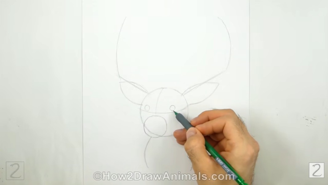 How to Draw a Deer Initial Guidelines Sketch