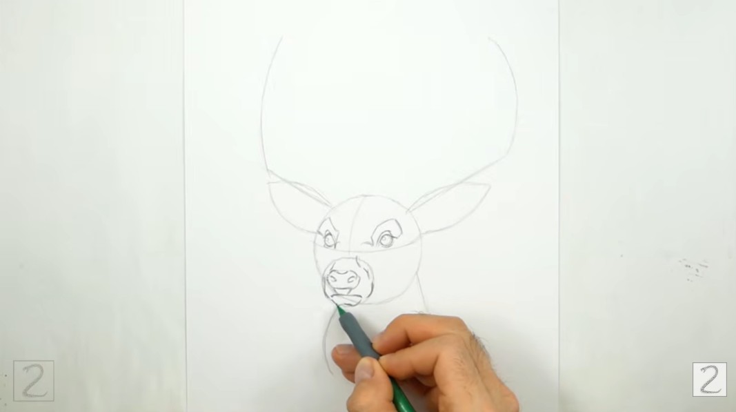 How to Draw Deer Eyes and Mouth