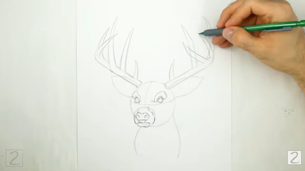 How to Sketch Deer Antlers