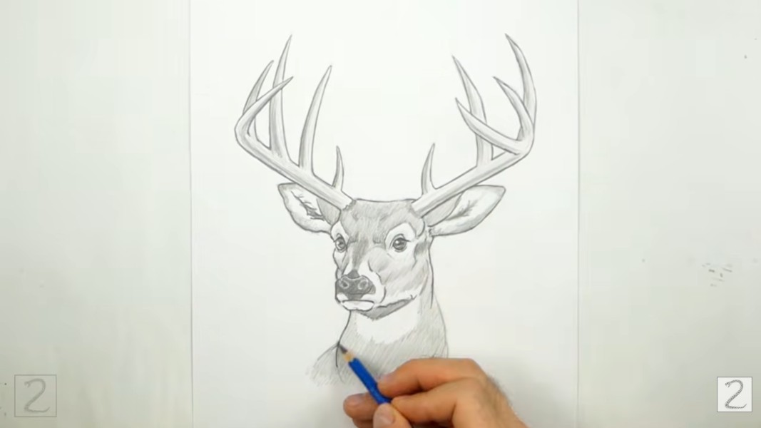 How to Complete Deer Shading