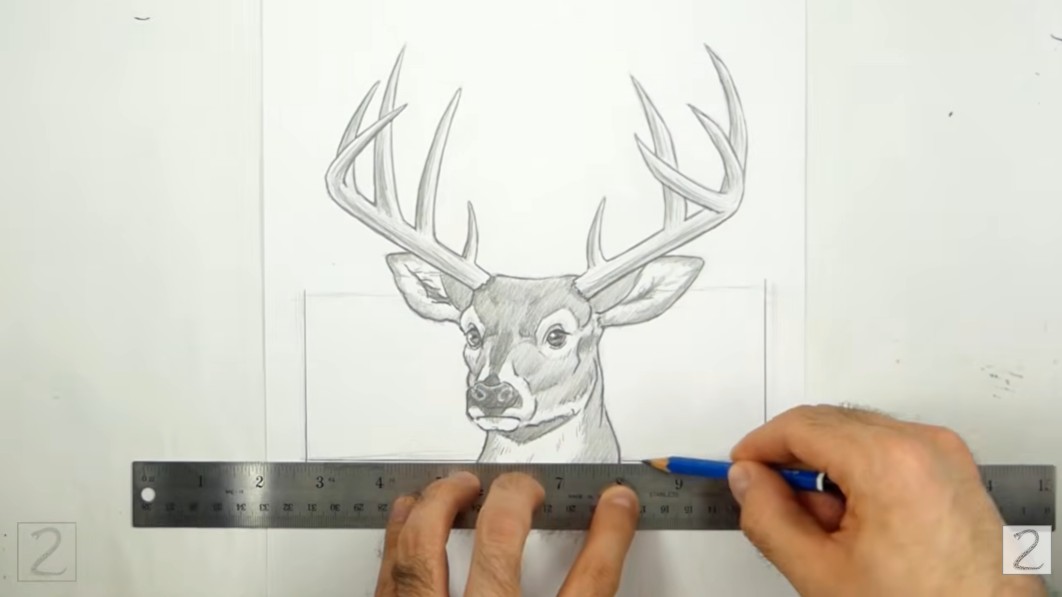 How to Add Border to Deer Drawing