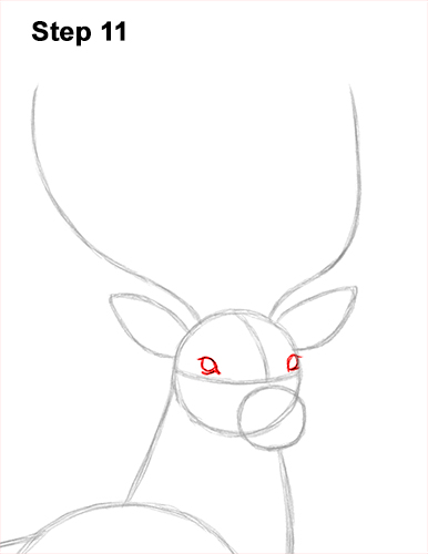 Draw Noble Buck Stag Deer Color 11 How to Draw Noble Deer Antlers Majestic Buck Stag 11