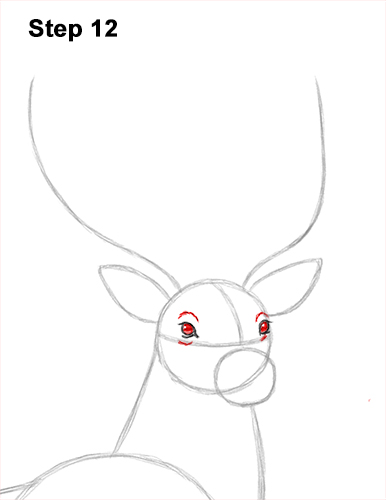 Draw Noble Buck Stag Deer Color 12 How to Draw Noble Deer Antlers Majestic Buck Stag 12