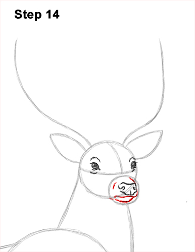 Draw Noble Buck Stag Deer Color 14 How to Draw Noble Deer Antlers Majestic Buck Stag 14