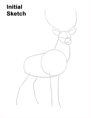 Draw Noble Buck Stag Deer Color Guidelines How to Draw Noble Deer Antlers Majestic Buck Stag Guides Lines