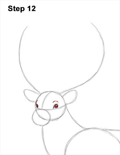 How to Draw a Red Deer Buck Stag Antlers 12