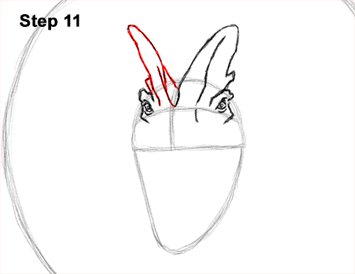 Dilophosaurus Dinosaur Drawing 11 Draw Dinosaur Dilophosaurus 11
