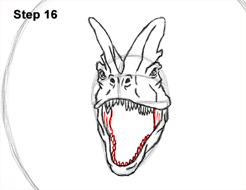 Dilophosaurus Dinosaur Drawing 16 Draw Dinosaur Dilophosaurus 16